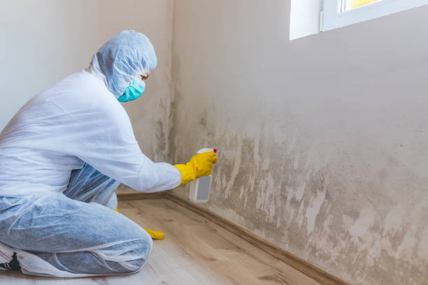 Licensed Mold Inspection And Testing service in Moorestown, NJ - Mold Remediation HQ