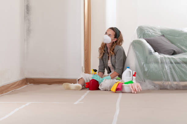 Reliable Mold Inspection And Testing contractor in Moorestown, NJ by Mold Remediation HQ